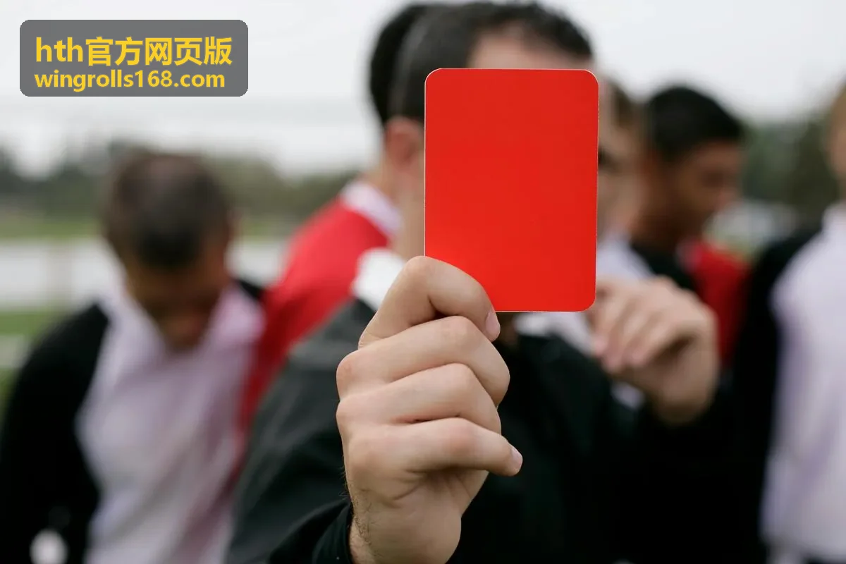 hth官方网页版高分电影海报